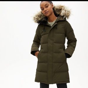 Aritzia Parka
